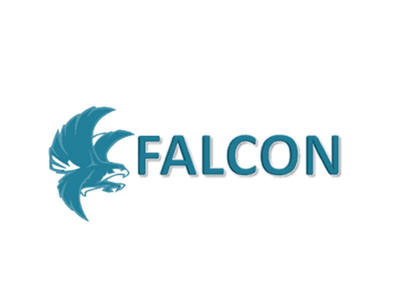 falcon project