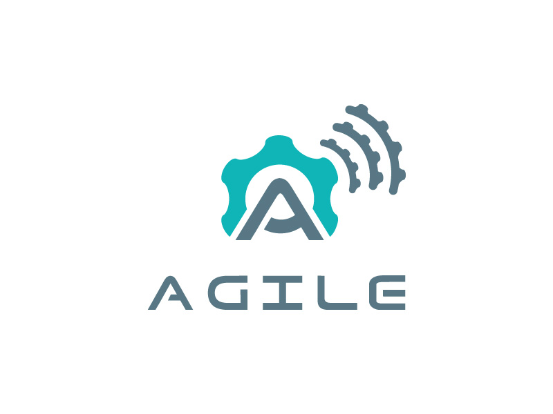 agile project